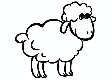 Cartoon Sheep Coloring Page